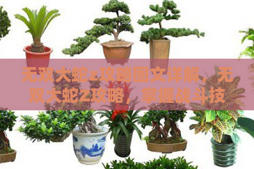 无双大蛇z攻略图文详解，无双大蛇Z攻略，掌握战斗技巧，征服历史战场