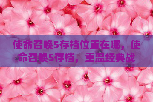 使命召唤5存档位置在哪，使命召唤5存档，重温经典战役的珍贵记忆