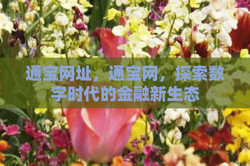通宝网址，通宝网，探索数字时代的金融新生态