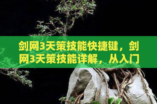 剑网3天策技能快捷键，剑网3天策技能详解，从入门到精通