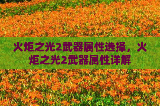 火炬之光2武器属性选择，火炬之光2武器属性详解