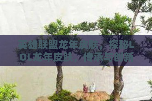 英雄联盟龙年皮肤，探秘LOL龙年皮肤，传承与创新的完美结合