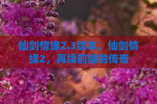 仙剑情缘2.3版本，仙剑情缘2，再续前缘的传奇