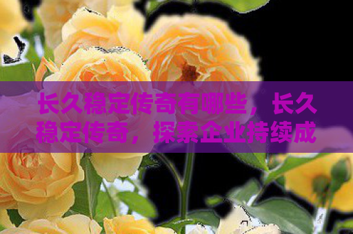 长久稳定传奇有哪些，长久稳定传奇，探索企业持续成功的秘诀