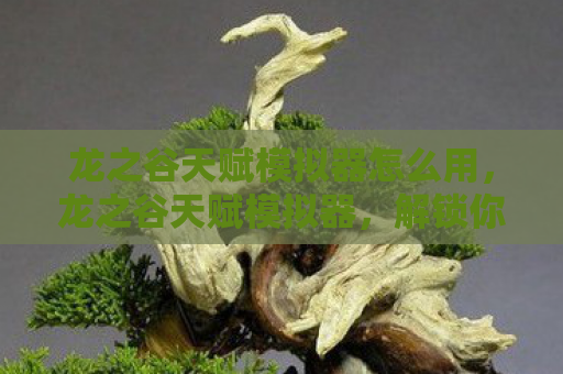 龙之谷天赋模拟器怎么用，龙之谷天赋模拟器，解锁你的职业潜能