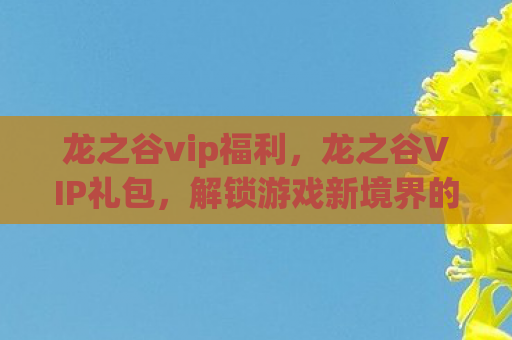 龙之谷vip福利，龙之谷VIP礼包，解锁游戏新境界的钥匙