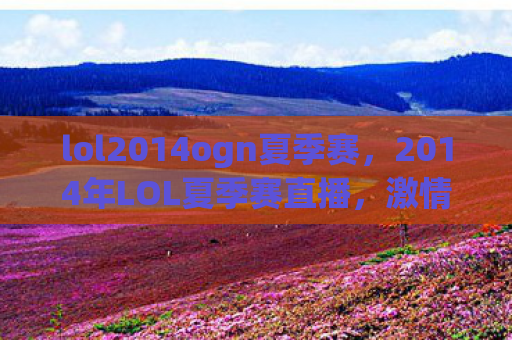 lol2014ogn夏季赛，2014年LOL夏季赛直播，激情与荣耀的碰撞
