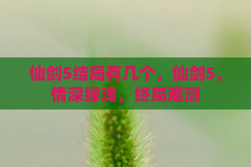 仙剑5结局有几个，仙剑5，情深缘浅，终局难测