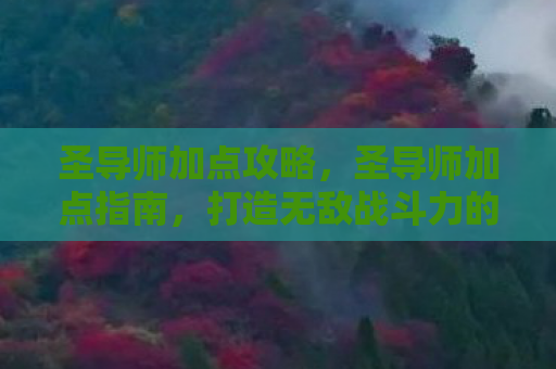 圣导师加点攻略，圣导师加点指南，打造无敌战斗力的关键