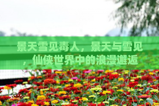 景天雪见毒人，景天与雪见，仙侠世界中的浪漫邂逅
