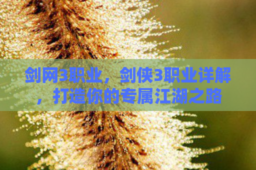 剑网3职业，剑侠3职业详解，打造你的专属江湖之路