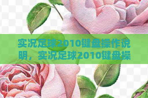 实况足球2010键盘操作说明，实况足球2010键盘操作指南，掌握技巧，称霸绿茵场