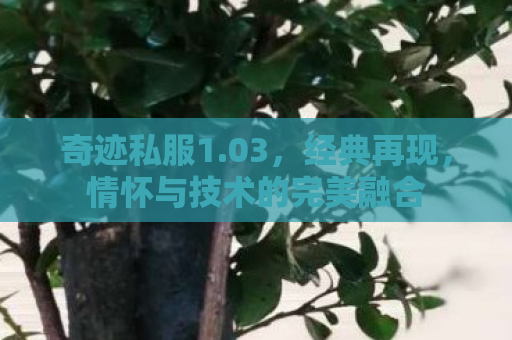 奇迹私服1.03，经典再现，情怀与技术的完美融合