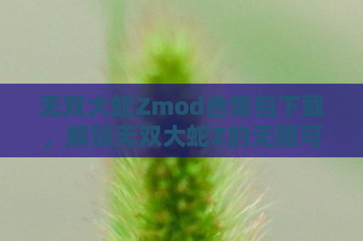 无双大蛇Zmod合集包下载，解锁无双大蛇Z的无限可能，MOD制作全解析
