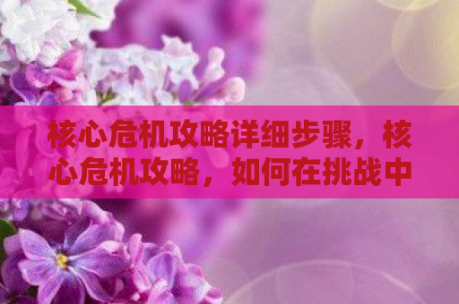 核心危机攻略详细步骤，核心危机攻略，如何在挑战中发掘机遇