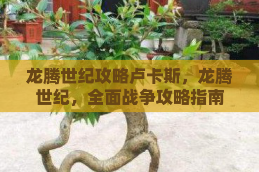 龙腾世纪攻略卢卡斯，龙腾世纪，全面战争攻略指南