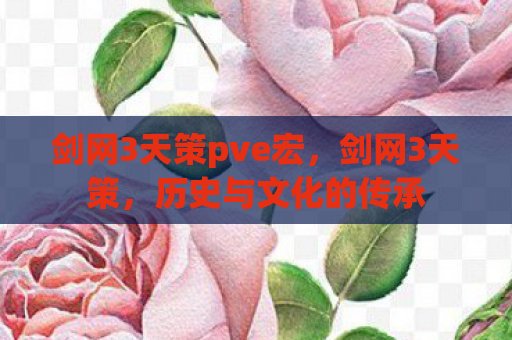 剑网3天策pve宏，剑网3天策，历史与文化的传承