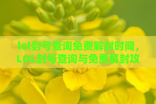 lol封号查询免费解封时间，LOL封号查询与免费解封攻略