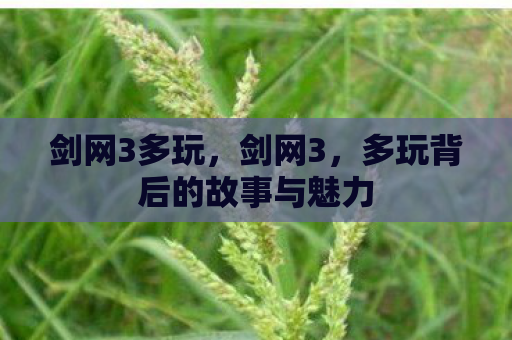 剑网3多玩，剑网3，多玩背后的故事与魅力