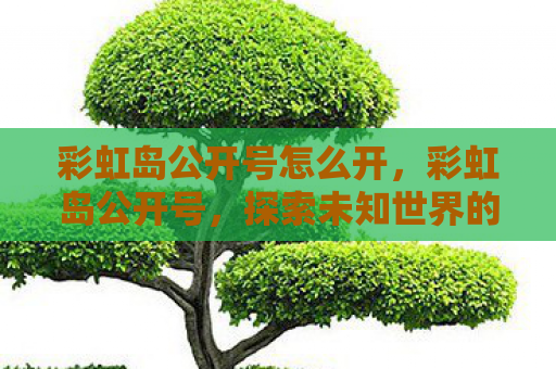 彩虹岛公开号怎么开，彩虹岛公开号，探索未知世界的奇妙之旅