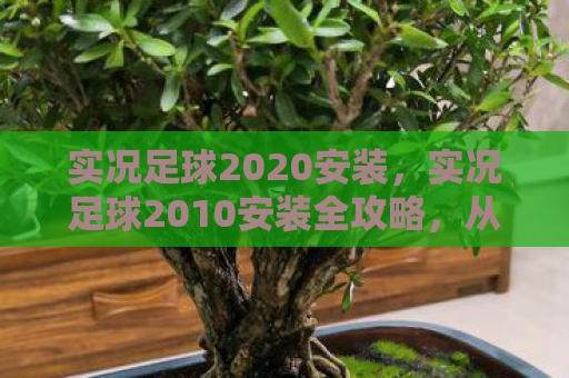 实况足球2020安装，实况足球2010安装全攻略，从下载到畅玩的每一步
