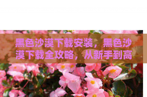 黑色沙漠下载安装，黑色沙漠下载全攻略，从新手到高手的必备指南