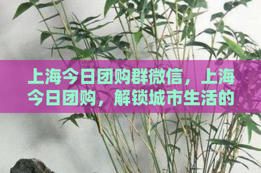 上海今日团购群微信，上海今日团购，解锁城市生活的便捷与实惠