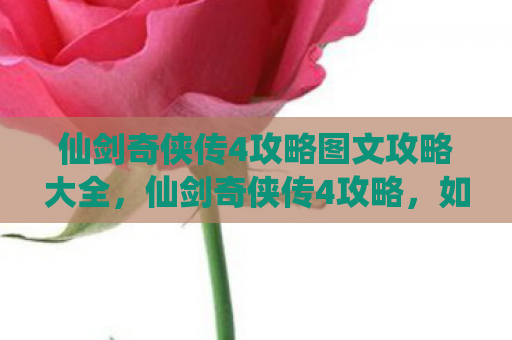 仙剑奇侠传4攻略图文攻略大全，仙剑奇侠传4攻略，如何成为顶尖玩家