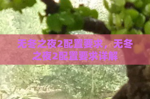 无冬之夜2配置要求，无冬之夜2配置要求详解