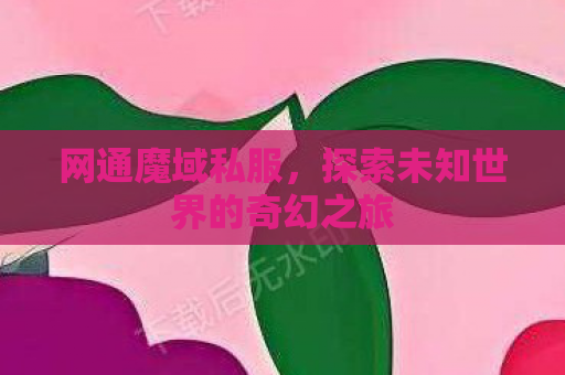 网通魔域私服，探索未知世界的奇幻之旅