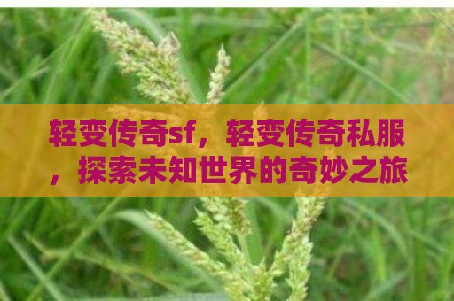 轻变传奇sf，轻变传奇私服，探索未知世界的奇妙之旅