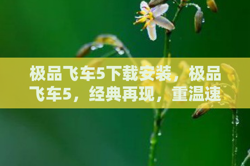极品飞车5下载安装，极品飞车5，经典再现，重温速度与激情