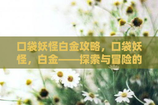 口袋妖怪白金攻略，口袋妖怪，白金——探索与冒险的奇妙之旅