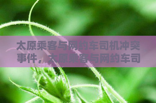 太原乘客与网约车司机冲突事件，太原乘客与网约车司机冲突，一场冲突引发的深思