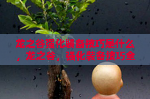 龙之谷强化装备技巧是什么，龙之谷，强化装备技巧全解析