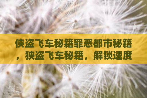 侠盗飞车秘籍罪恶都市秘籍，狭盗飞车秘籍，解锁速度与激情的终极技巧