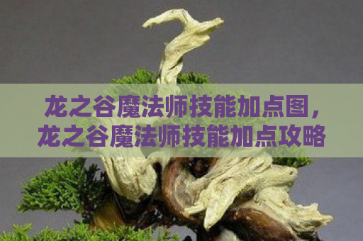 龙之谷魔法师技能加点图，龙之谷魔法师技能加点攻略，打造最强法师阵容