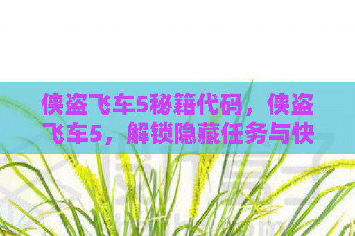 侠盗飞车5秘籍代码，侠盗飞车5，解锁隐藏任务与快速致富秘籍