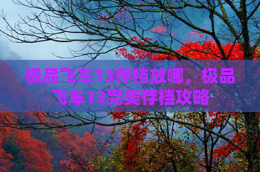 极品飞车13存档放哪，极品飞车13完美存档攻略