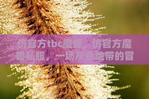 仿官方tbc魔兽，仿官方魔兽私服，一场灰色地带的冒险