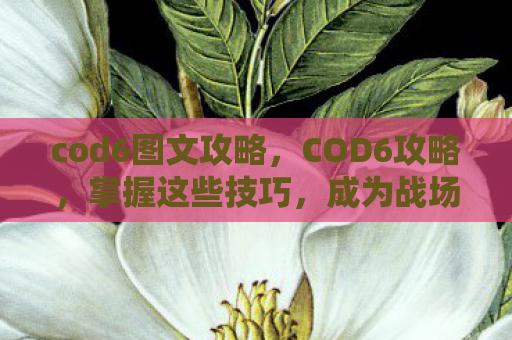 cod6图文攻略，COD6攻略，掌握这些技巧，成为战场上的不败神话