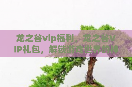龙之谷vip福利，龙之谷VIP礼包，解锁游戏世界的神秘钥匙