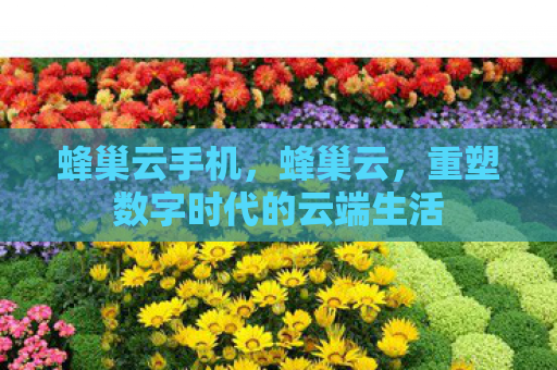 蜂巢云手机，蜂巢云，重塑数字时代的云端生活
