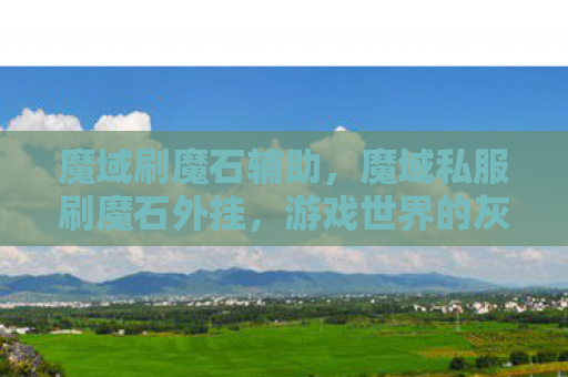 魔域刷魔石辅助，魔域私服刷魔石外挂，游戏世界的灰色阴影