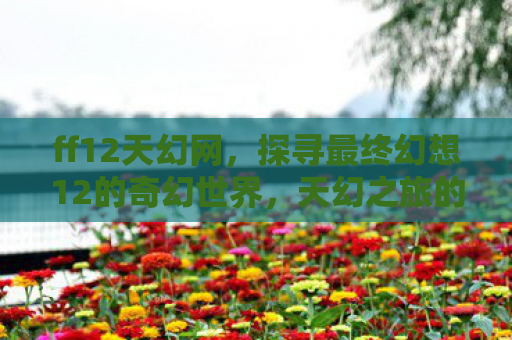 ff12天幻网，探寻最终幻想12的奇幻世界，天幻之旅的奥秘
