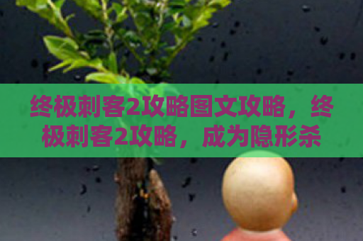 终极刺客2攻略图文攻略，终极刺客2攻略，成为隐形杀手的艺术