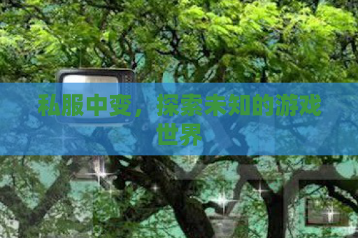 私服中变，探索未知的游戏世界