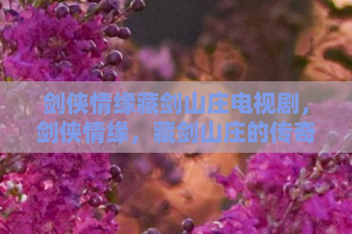 剑侠情缘藏剑山庄电视剧，剑侠情缘，藏剑山庄的传奇