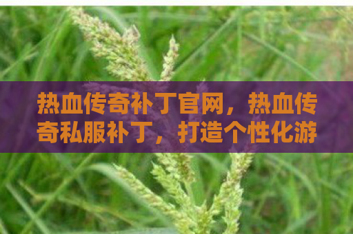 热血传奇补丁官网，热血传奇私服补丁，打造个性化游戏世界的秘密武器