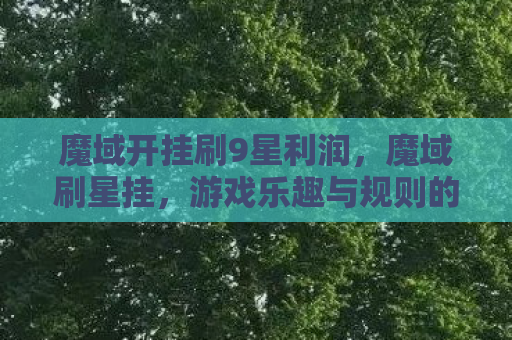 魔域开挂刷9星利润，魔域刷星挂，游戏乐趣与规则的边界